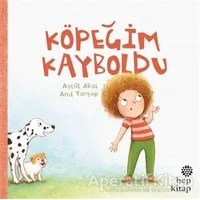 Köpeğim Kayboldu - Aytül Akal - Hep Kitap